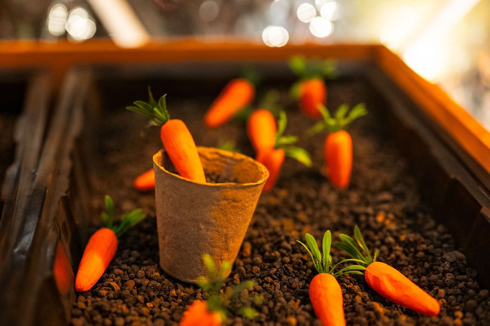 Toolbox Drama - Immersive Spaces - Junction Goole-75