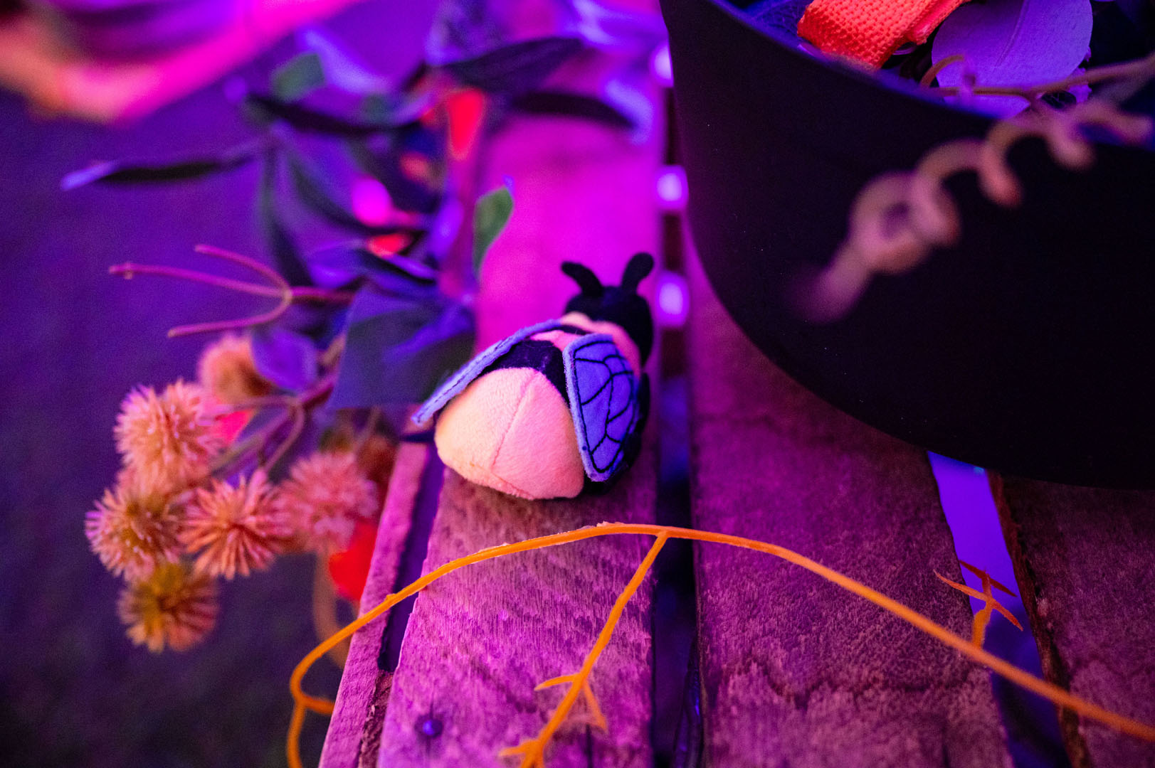 Toolbox Drama - Immersive Spaces - Pastures, Goole-67